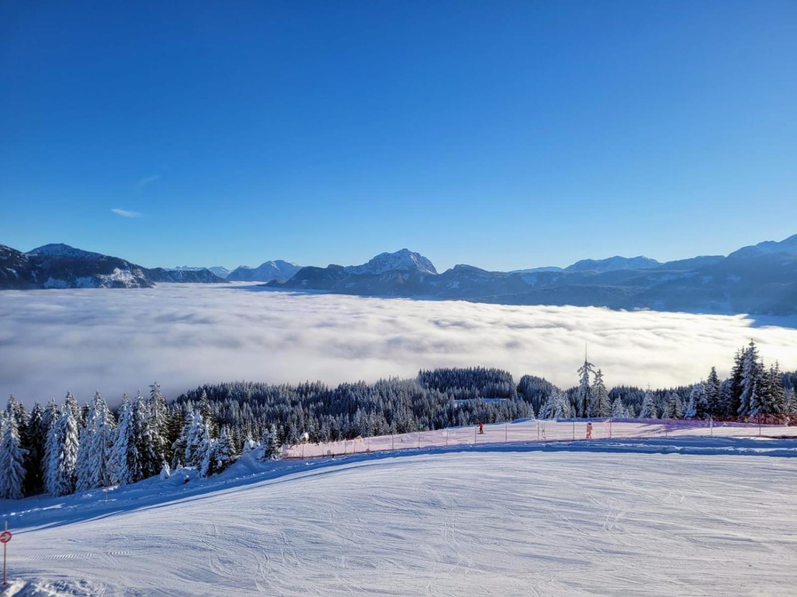 Alpenhaus Dachstein.Zauber Lägenhet Abtenau Exteriör bild
