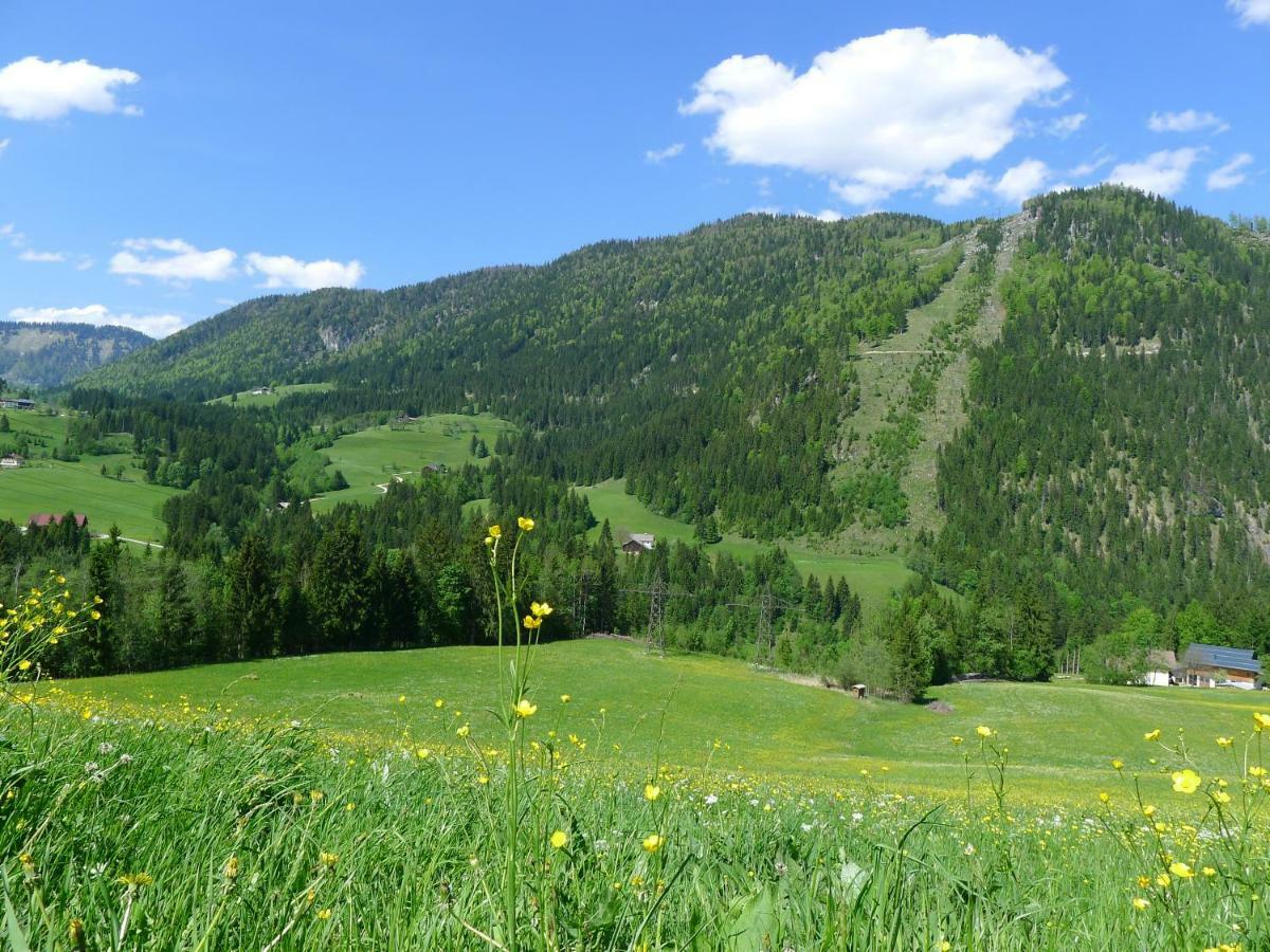 Alpenhaus Dachstein.Zauber Lägenhet Abtenau Exteriör bild