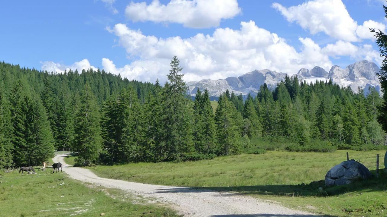 Alpenhaus Dachstein.Zauber Lägenhet Abtenau Exteriör bild