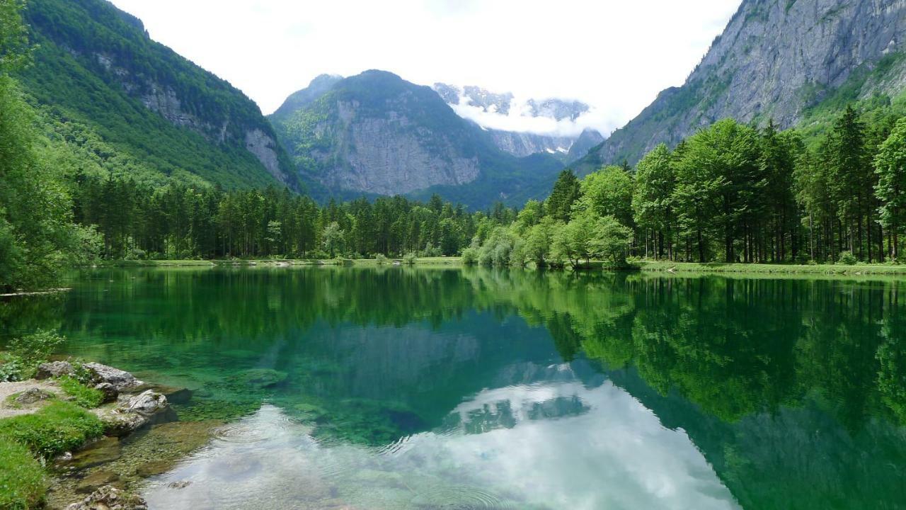 Alpenhaus Dachstein.Zauber Lägenhet Abtenau Exteriör bild