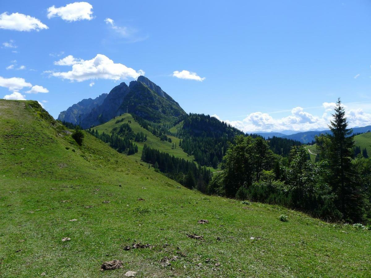 Alpenhaus Dachstein.Zauber Lägenhet Abtenau Exteriör bild