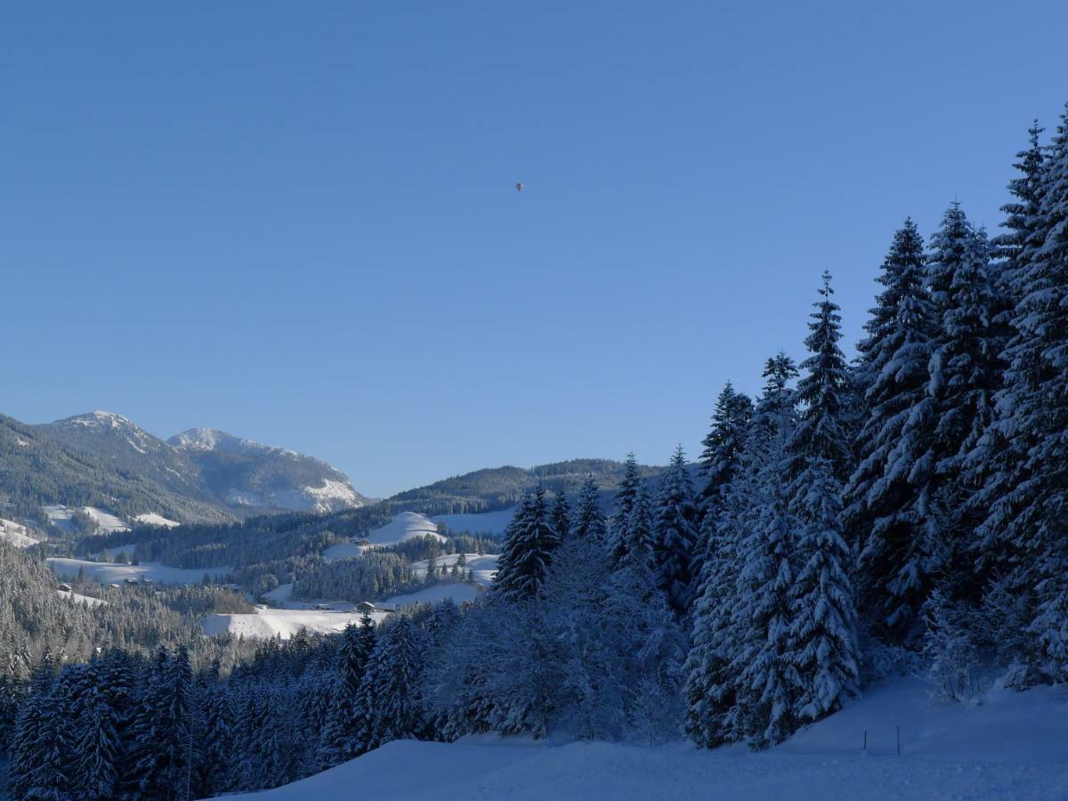 Alpenhaus Dachstein.Zauber Lägenhet Abtenau Exteriör bild